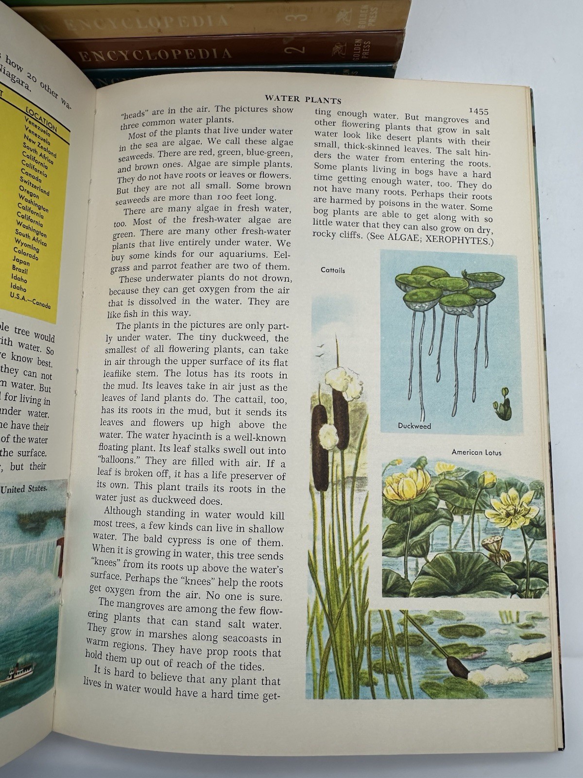 The Golden Book Encyclopedia Vintage 16 Volume Complete Set – 1959/1960
