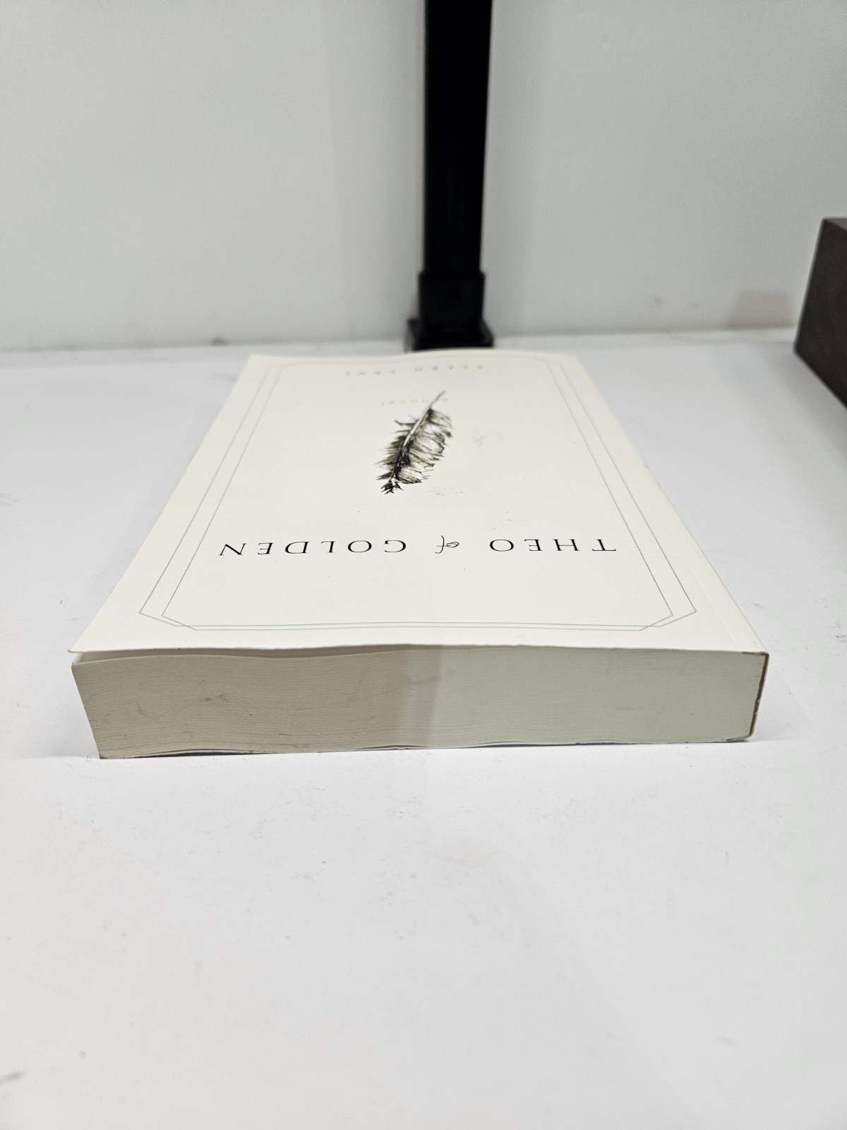 Theo of Golden Allen Levi RARE SELF PUBLISHED 1st Edition – Good Condition