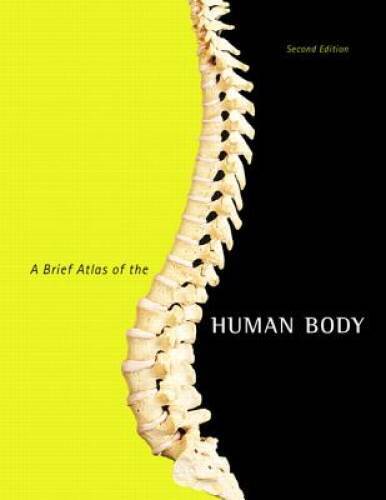 A Brief Atlas of the Human Body – Spiral-bound By Hutchinson, Matt – GOOD