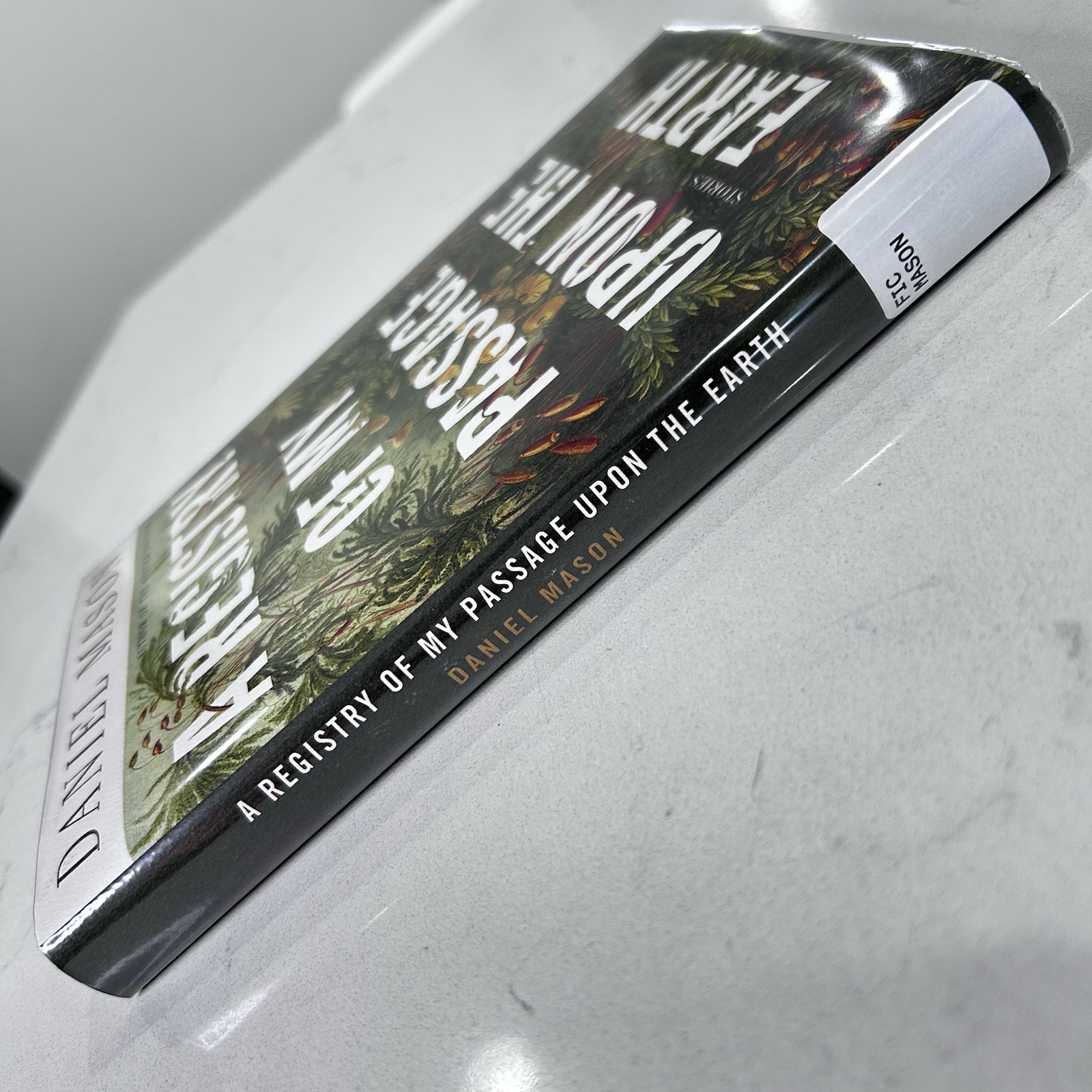 A Registry of My Passage Upon the Earth by Daniel Mason Short Story Collection