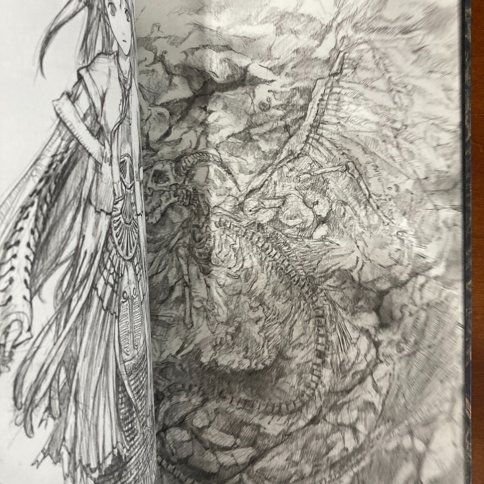 Yoshitoshi Abe Art Book Gaisoukyu Art Book Illustration