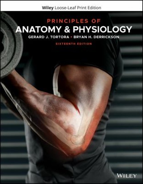 Principles of Anatomy and Physiology Bryan H., Tortora, Gerard J.
