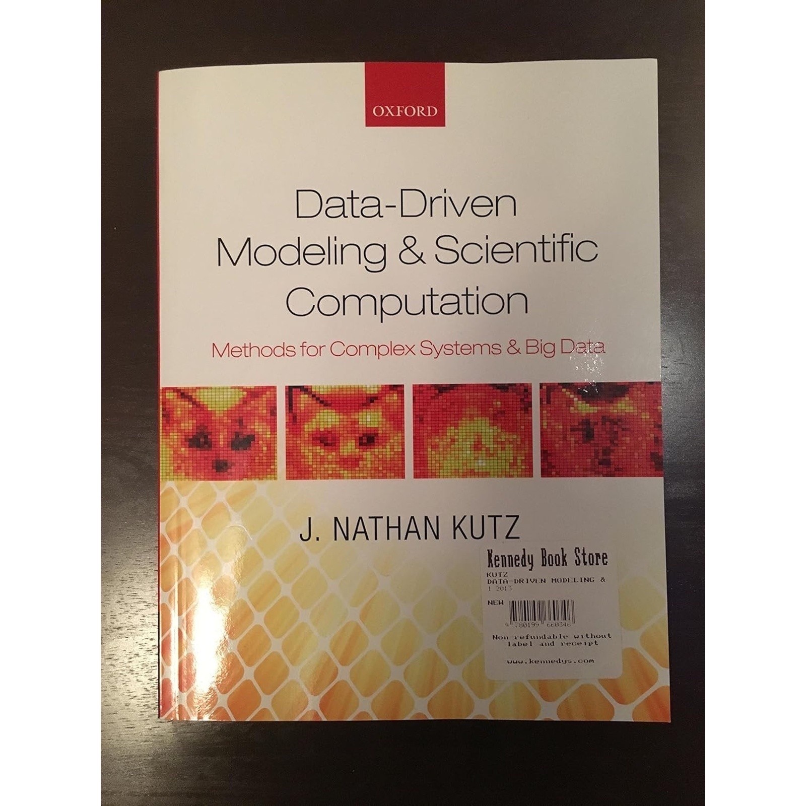 Data-Driven Modeling & Scientific Computation – J. Nathan Kutz (2013)
