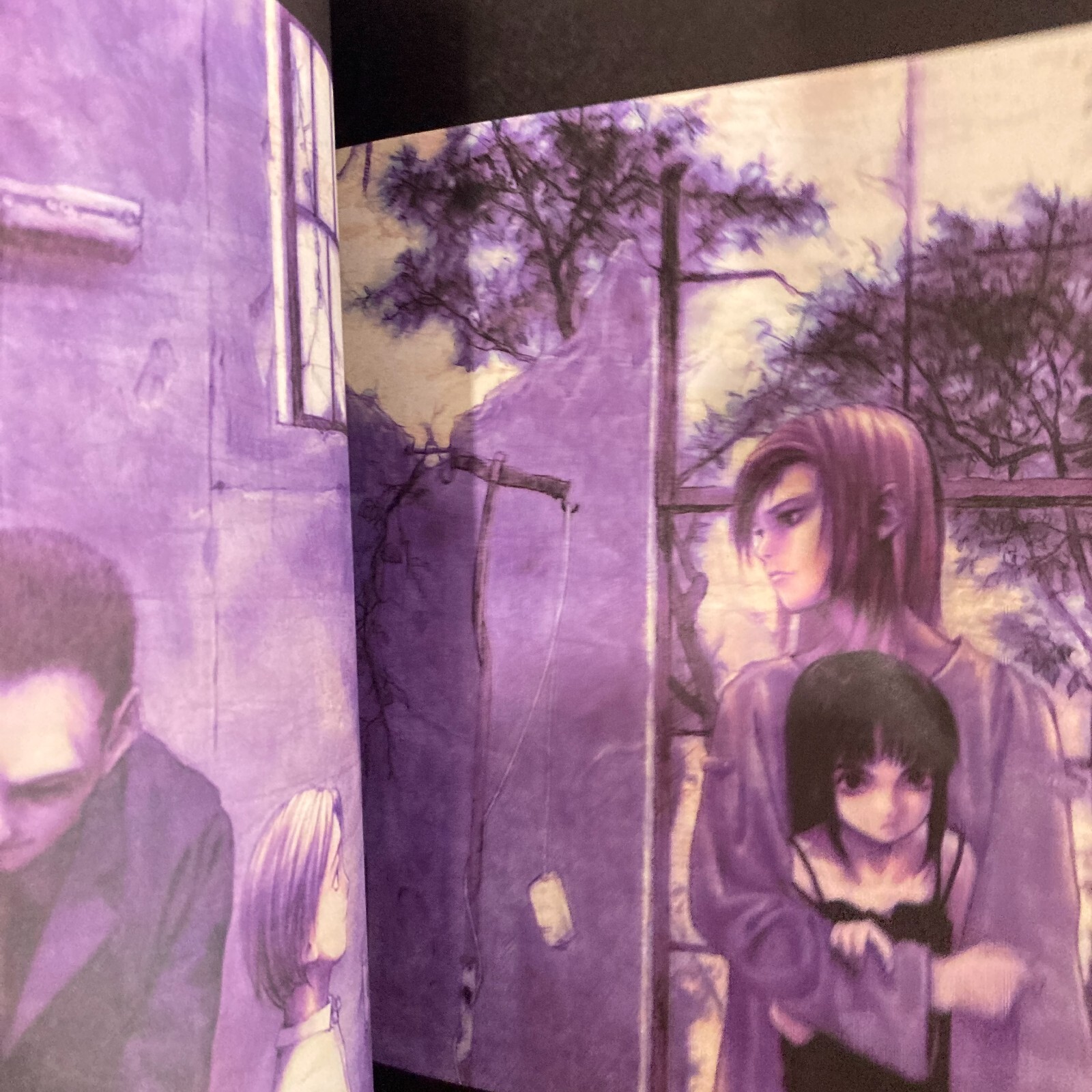 Yoshitoshi Abe Art Book Gaisoukyu Art Book Illustration