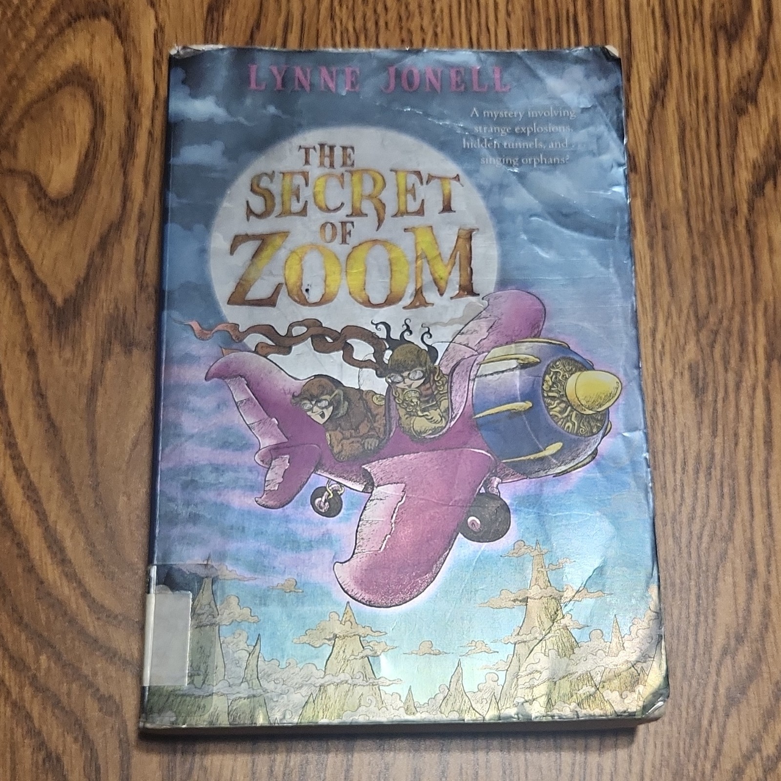 Square Fish Lynne Jonell Hardcover Juvenile Fiction Adventure The Secret of Zoom