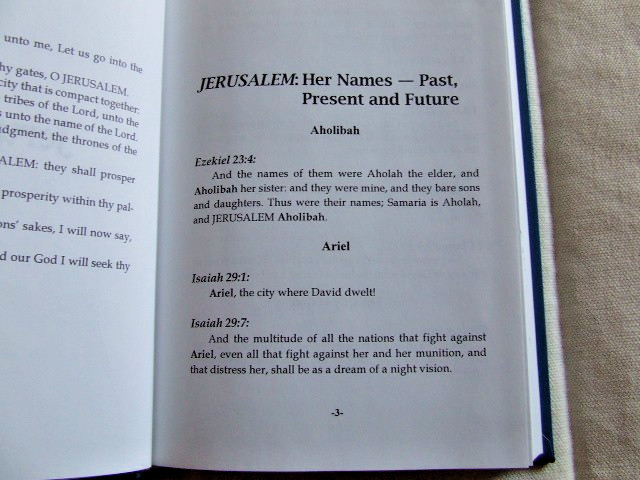 Jerusalem, Zion, Israel and the Nations by Ruth Ward Heflin 1994 HC