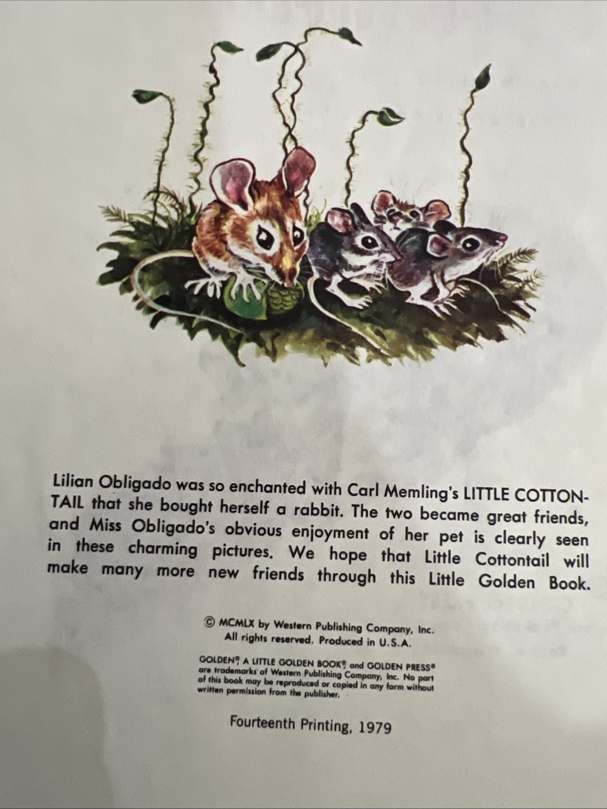 Vintage A Little Golden Book Little Cottontail 476-1 .69 1979 #2437