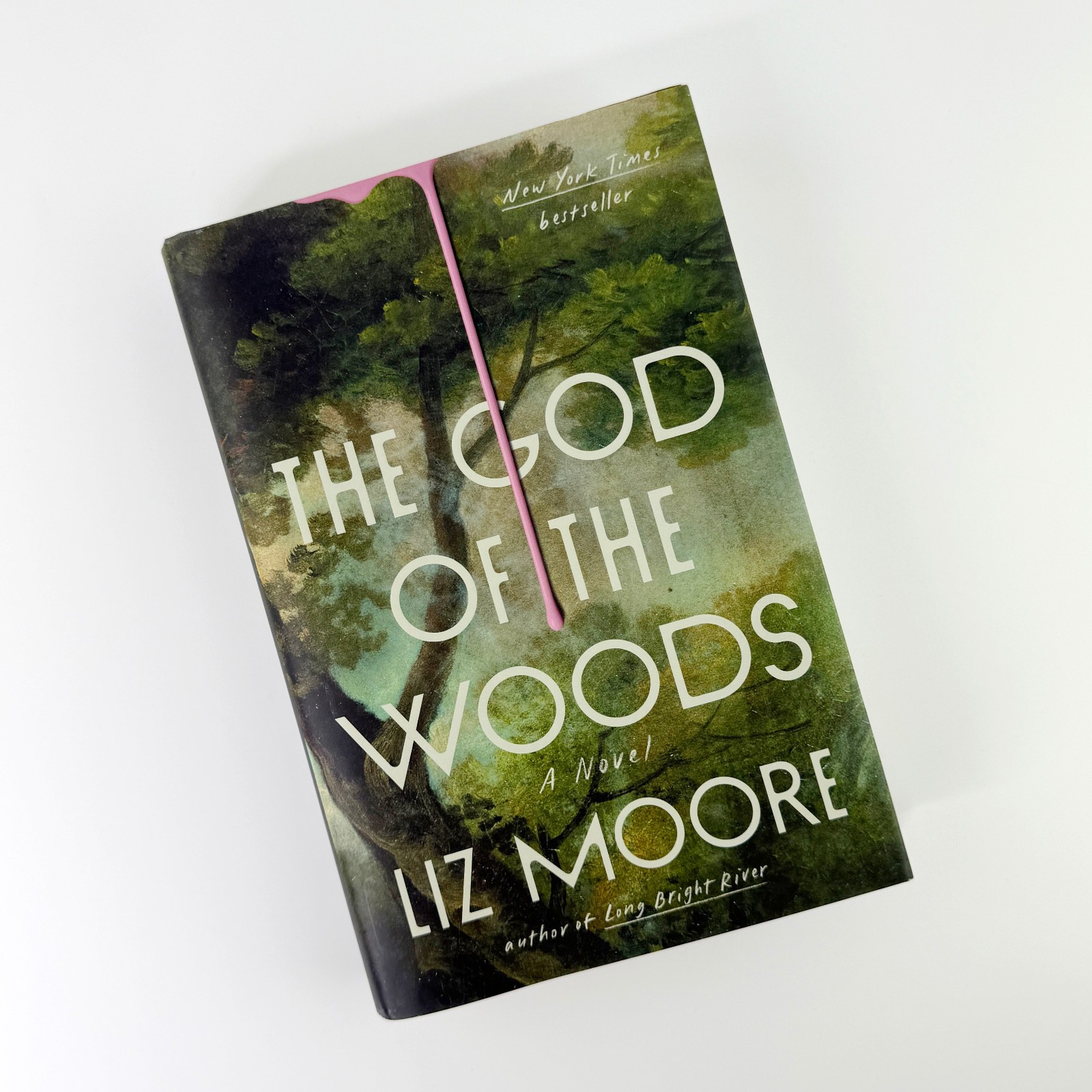 God of the Woods Novel by Liz Moore (2024, Hardcover) VERY GOOD – ACTUAL PHOTOS