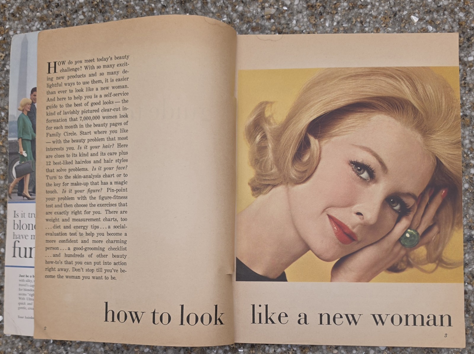 1964 Family Circle Guide to Beauty Vintage 1960s Makeup Hair Style Mod Book PB