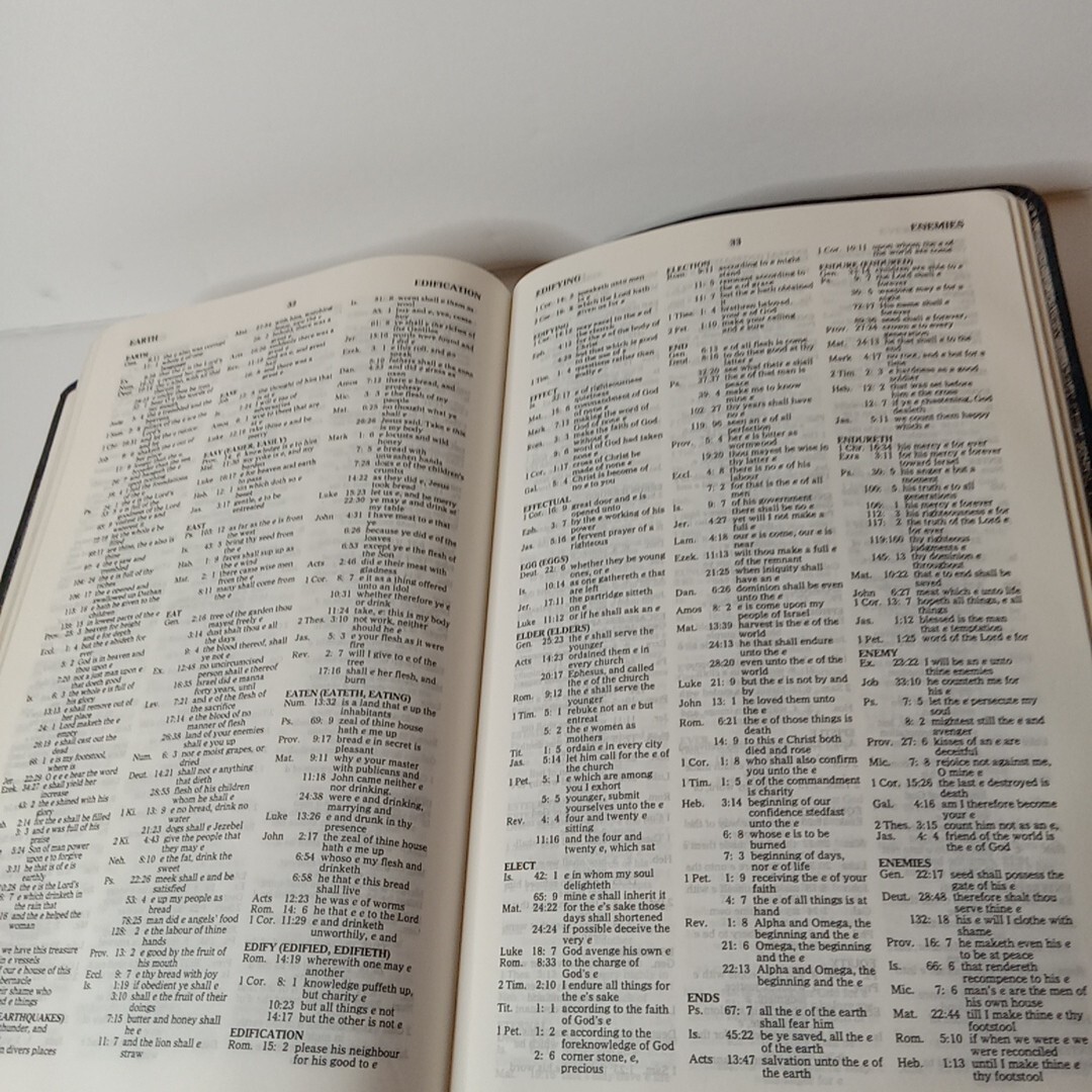 1994 Reference KJV Concordance Leather Red Letter Bible Zondervan Blue Vtg