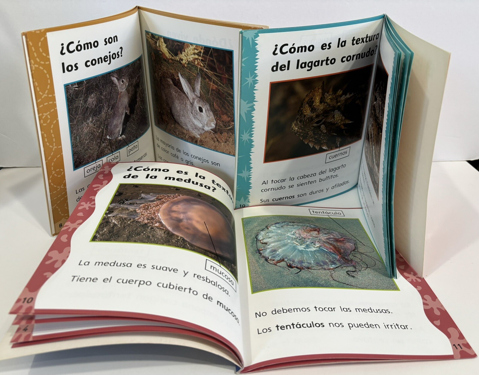 Heinemann Lee y Aprende/Heinemann Read and Learn Spanish Books Lot of 8