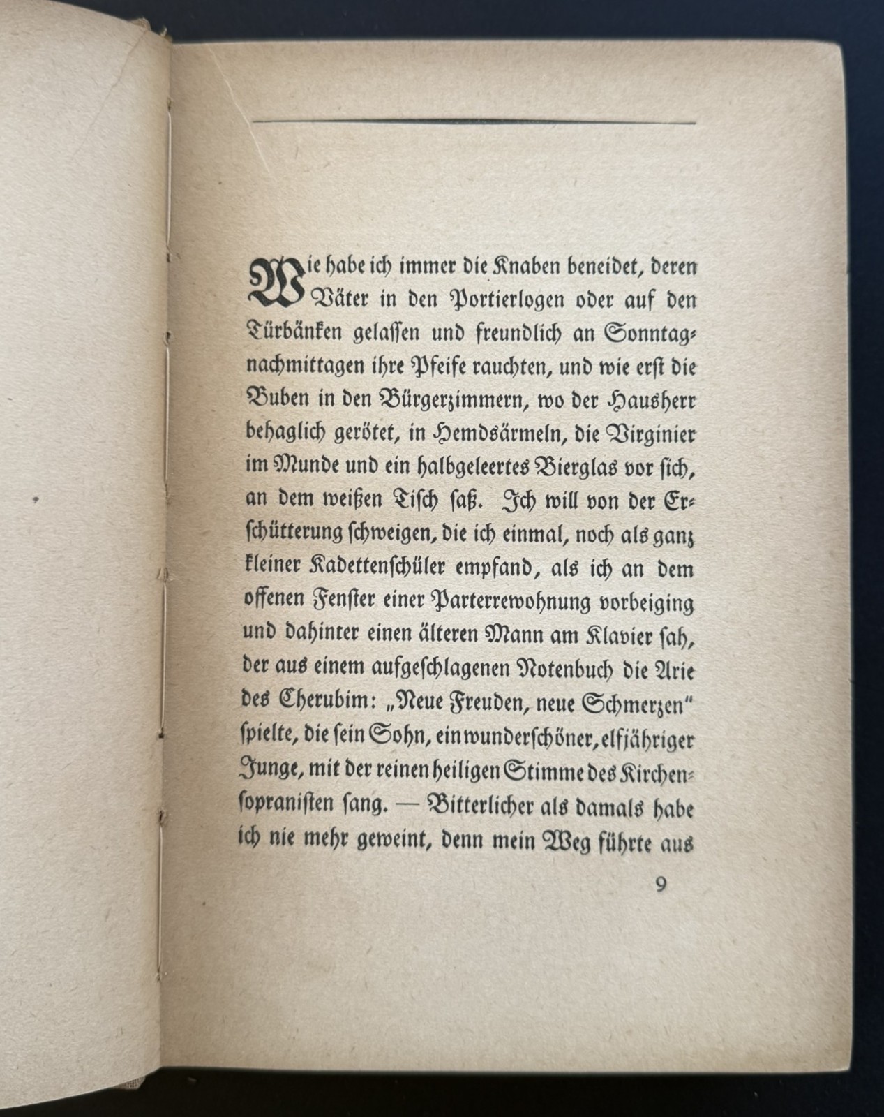 Franz Werfel Inscribed SIGNED in Vienna Nicht der Mörder 1922 Kurt Wolff German