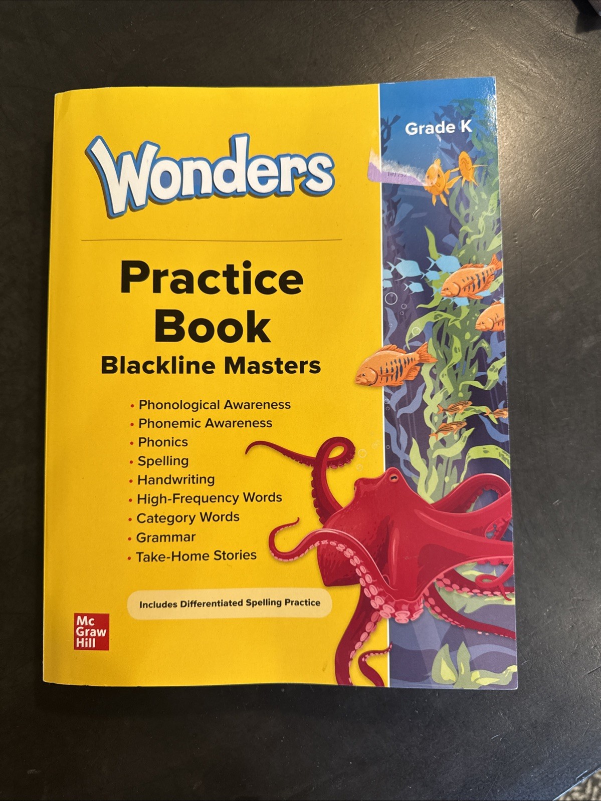2023 Wonders Grade K Practice Paperback by Mcgraw Hill Blackline Masters NEW