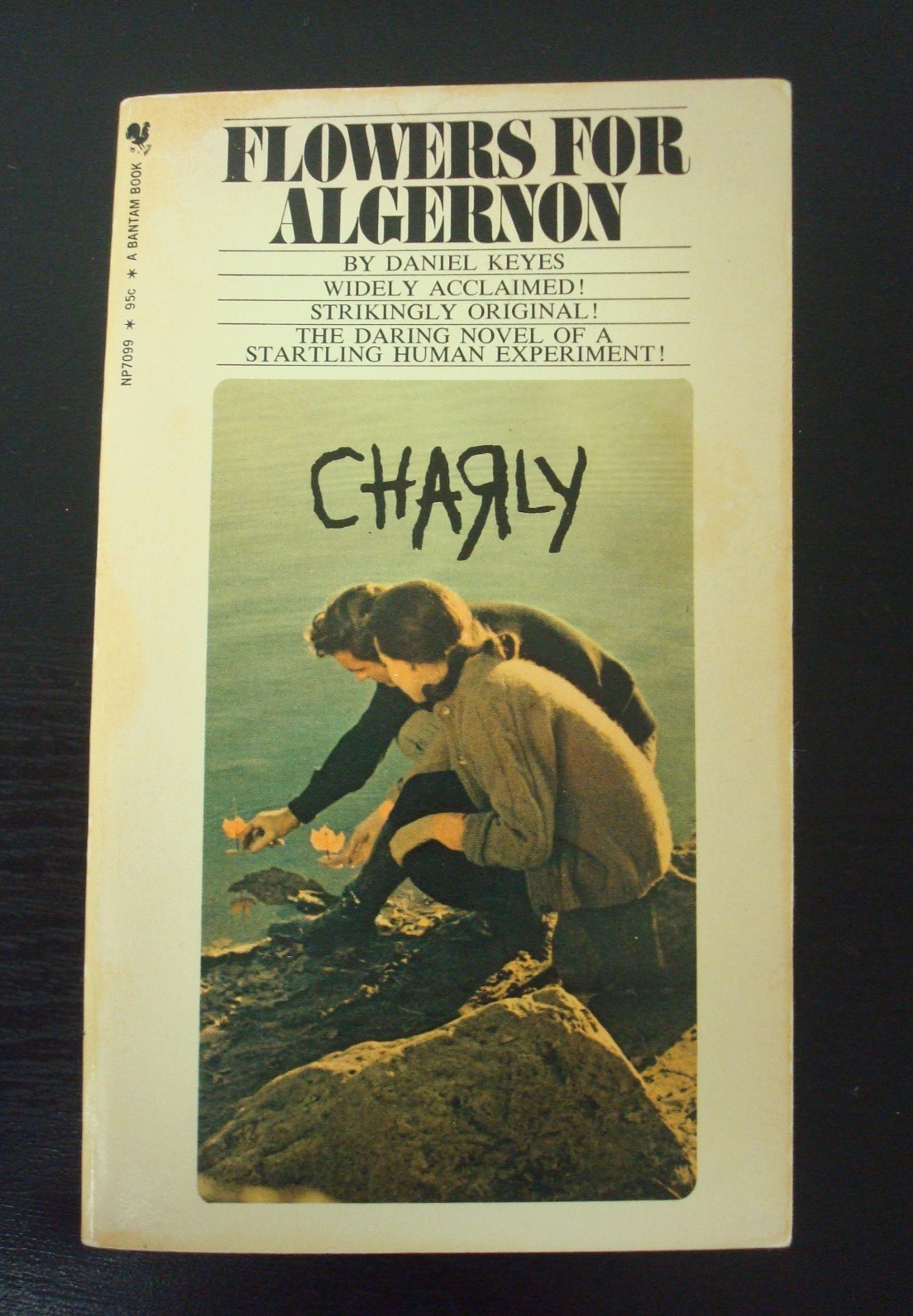 Flowers for Algernon by Daniel Keyes Bantam Paperback Novel, Mental Development