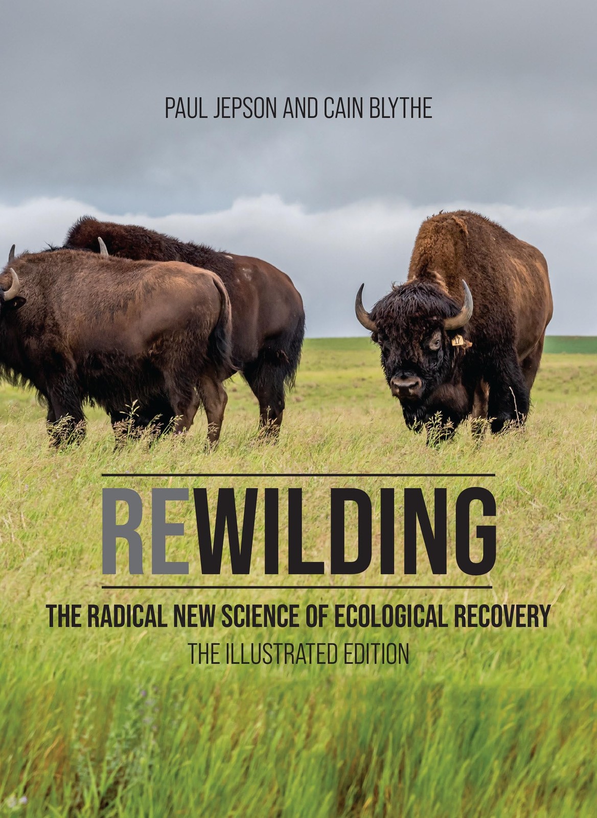 Rewilding: The Radical New Science of Ecological Recovery: The Illustrated Editi