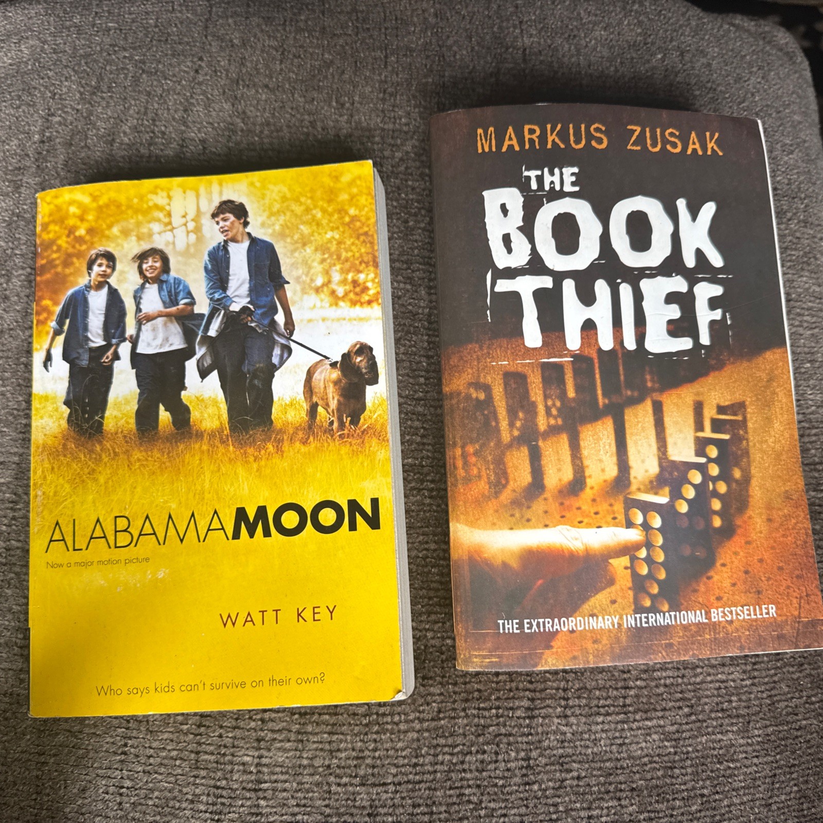 Novel Books: The Book Thief by Markus Zusak & Alabama Moon by Watt Key