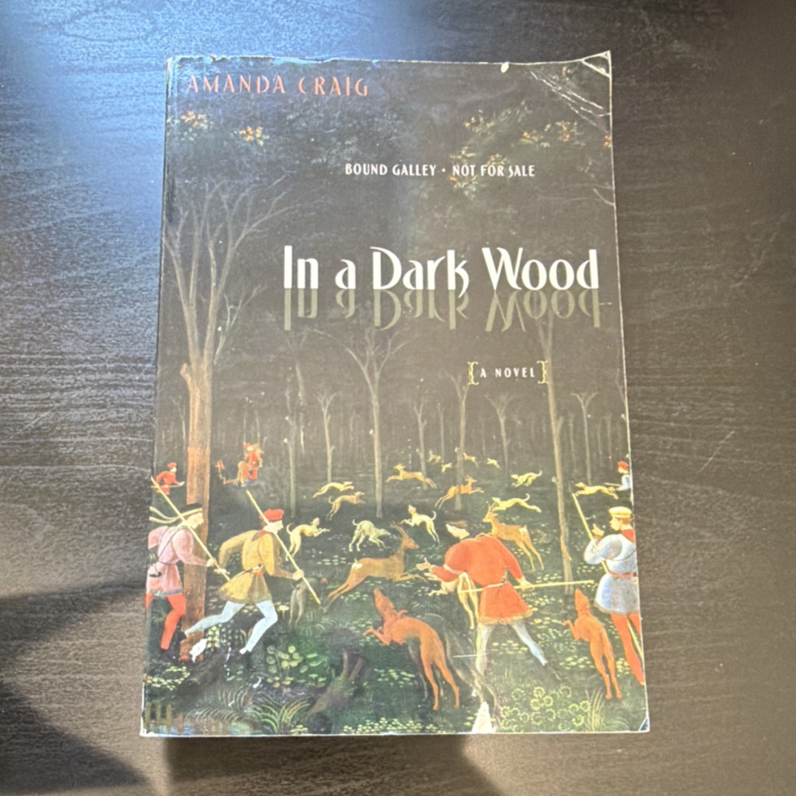 In a Dark Wood by Amanda Craig Hardcover Nan A. Talese First Edition 2002