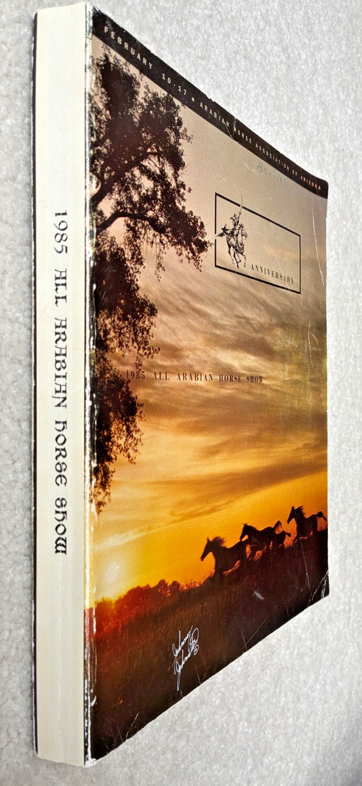 1985 Arabian Horse Association of Arizona Scottsdale Horse Show Book 432 Pages