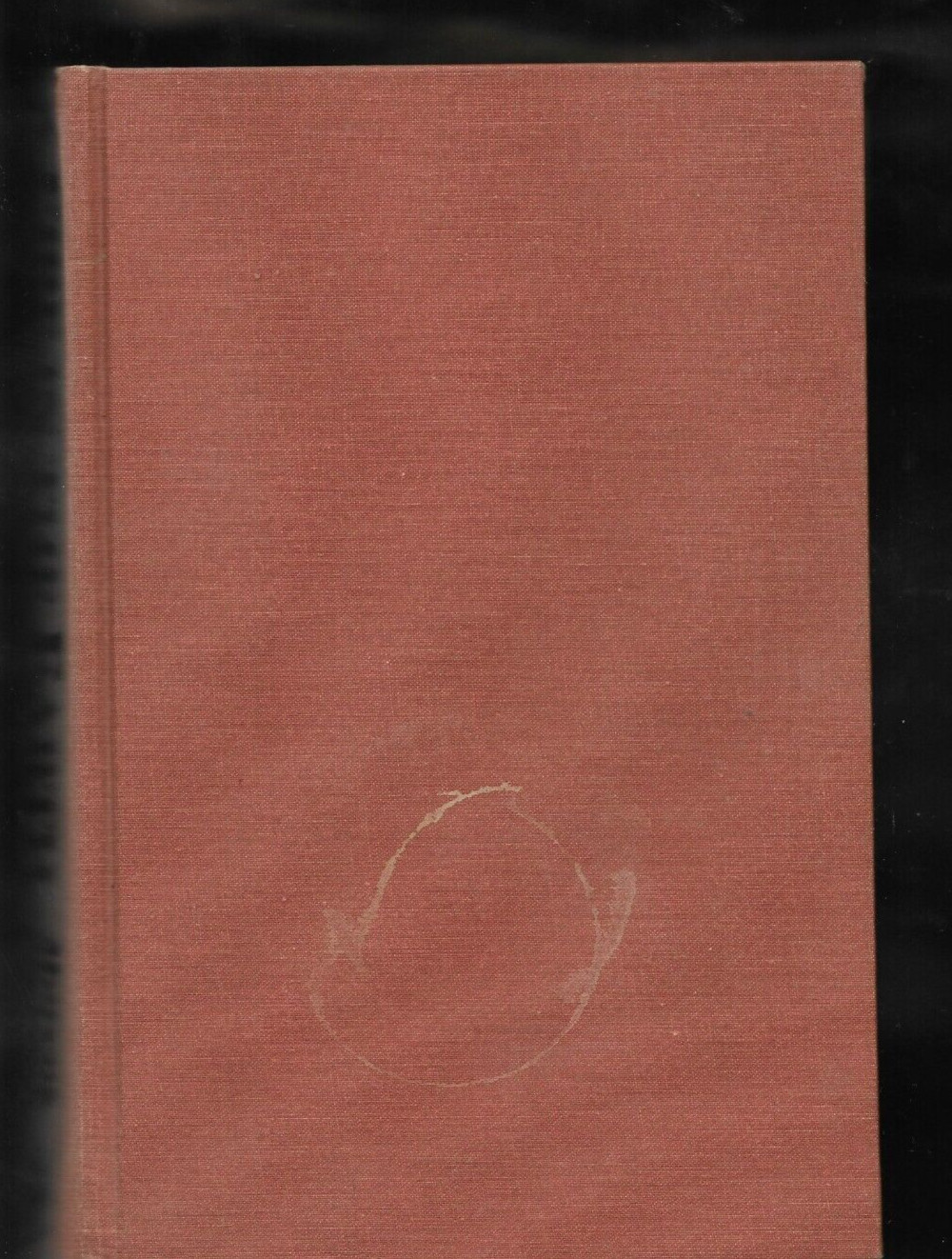 A FIRE IN THE EARTH Marcos McPeek Villatoro 1996 book Don Pablo 496 pages