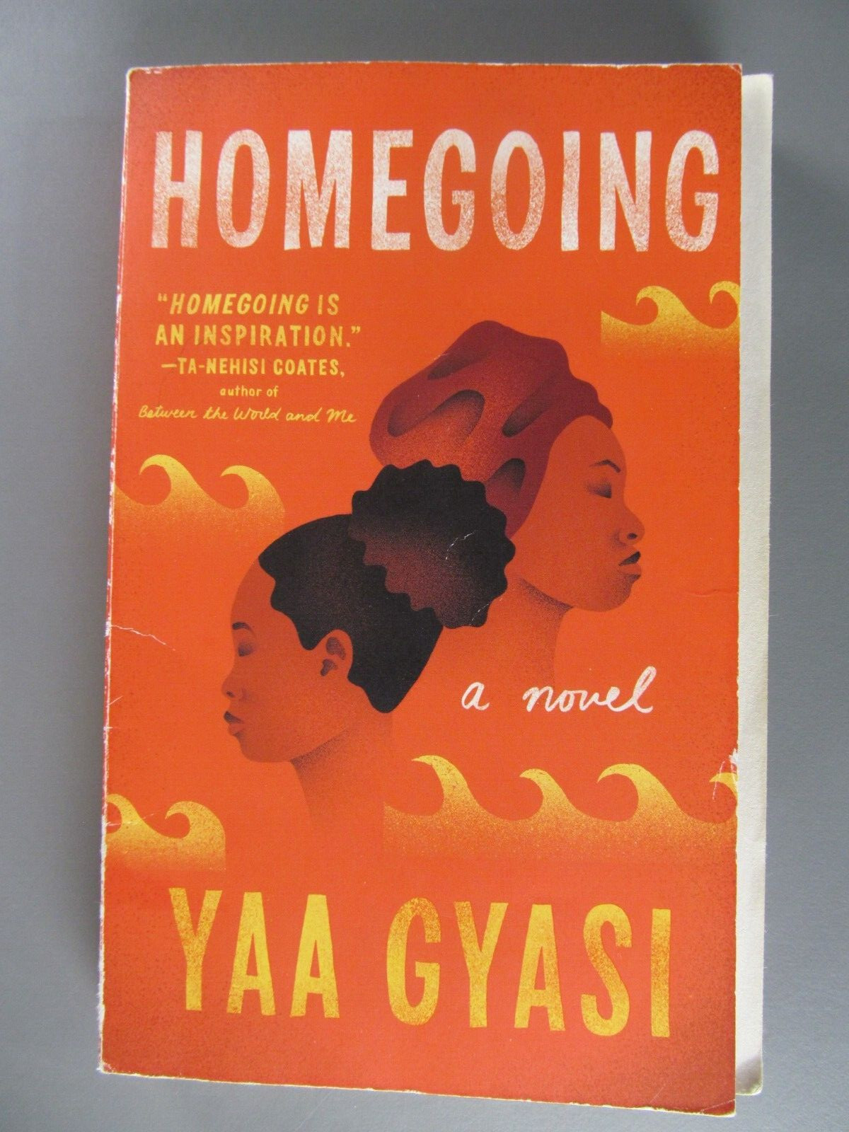 Homegoing, by Yaa Gyasi, 2017, Paperbound