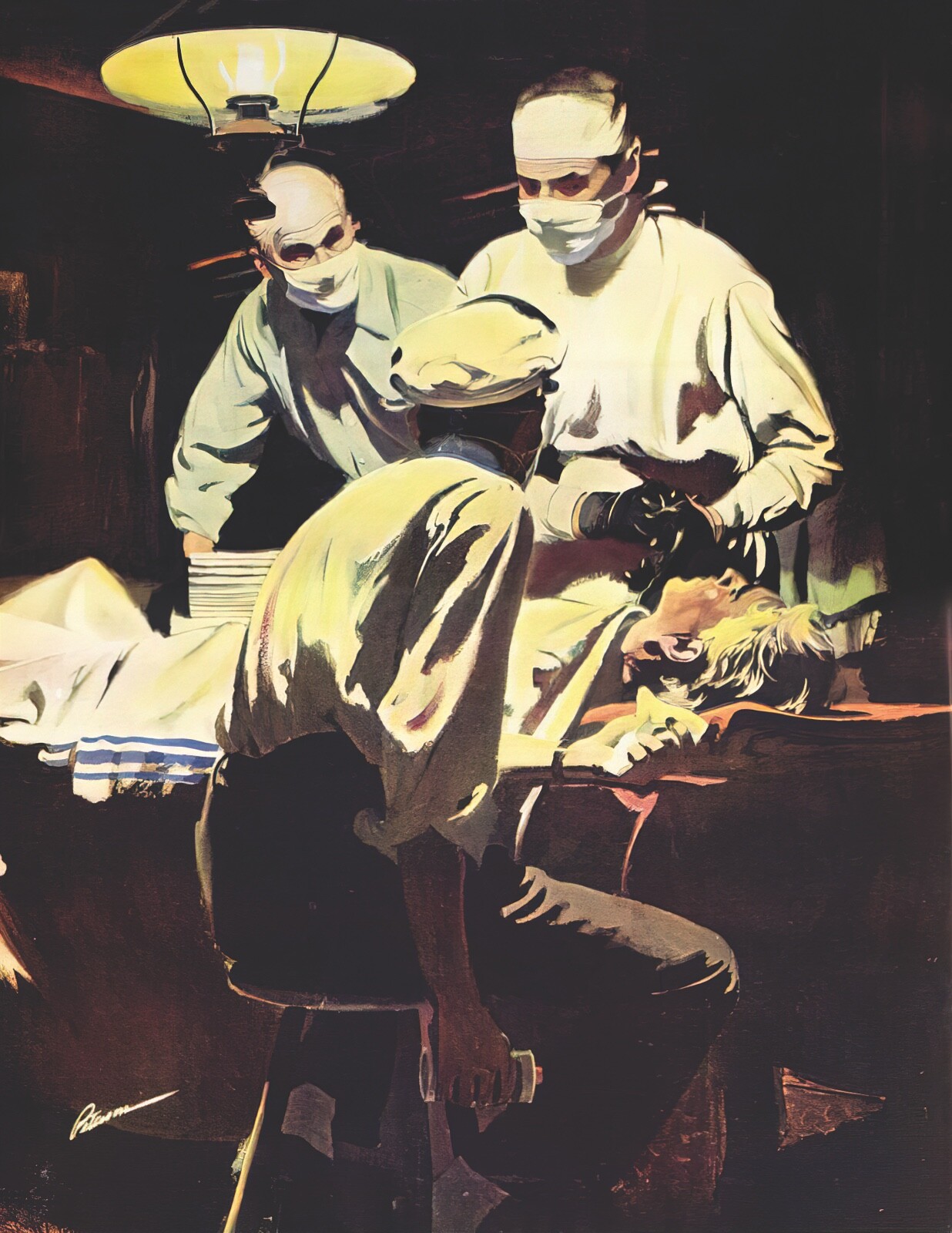 The Art of Perry Peterson-Wrinkled Dust Jacket-New from the Publisher