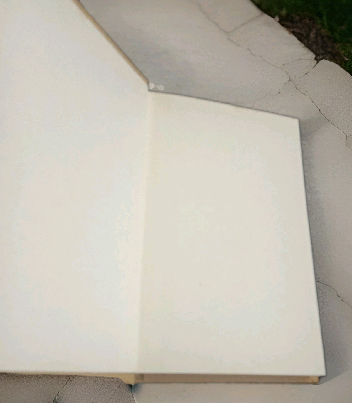 Ray’s New Test Examples In Arithmetic HC 1985