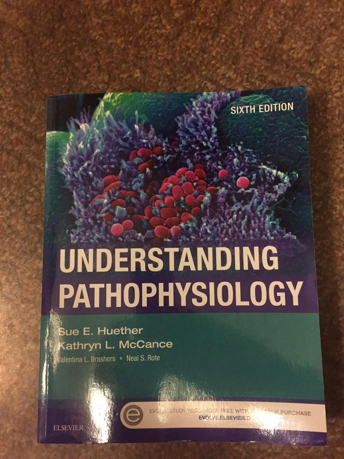 Understanding Pathophysiology – paperback Huether MS PhD, Sue E.|McCance MS …