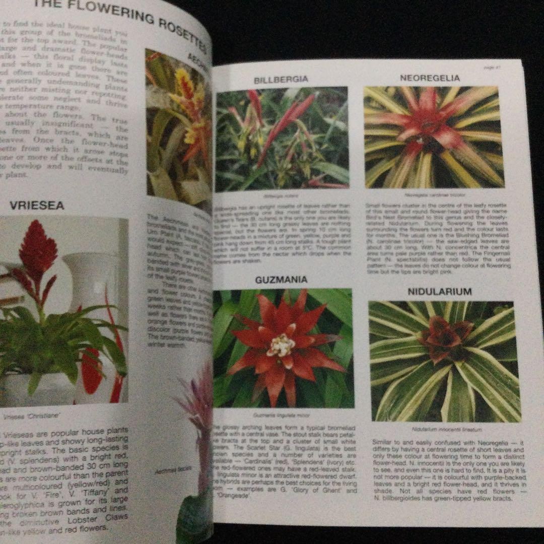 The House Plant Expert Dr. 128 Pages Gardening Plants English Book 9.5×7.1in