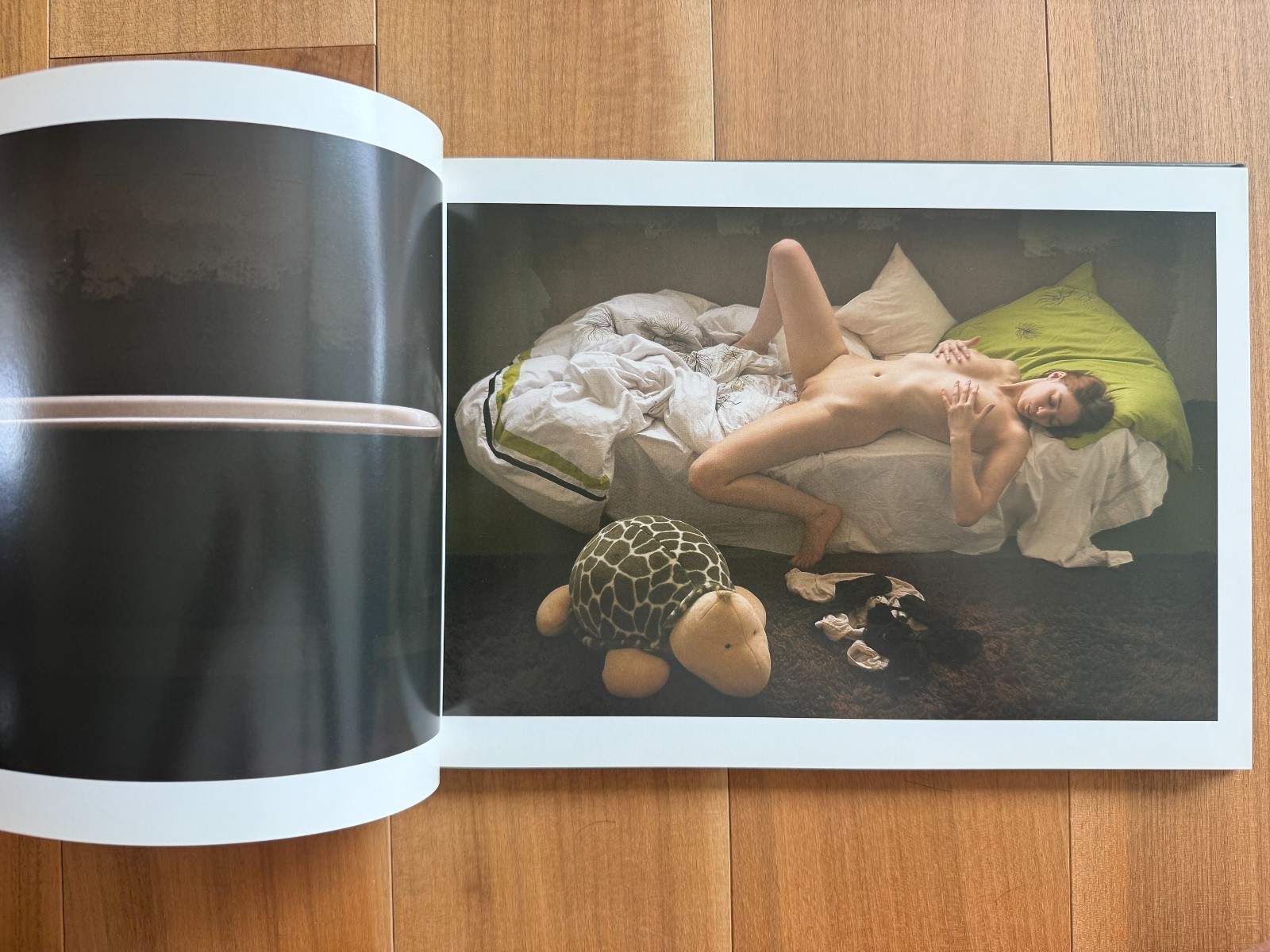 Dani Fehr: Naked Dream Girls and Naked Dream Girls 2, Edition Reuss, Like New