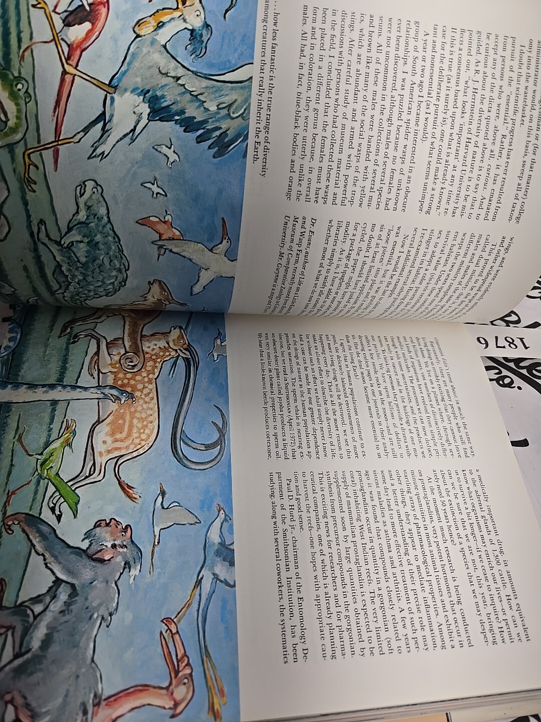 The Best of Smithsonian 1981 1st Ed Hardcover Art History Anthology Book