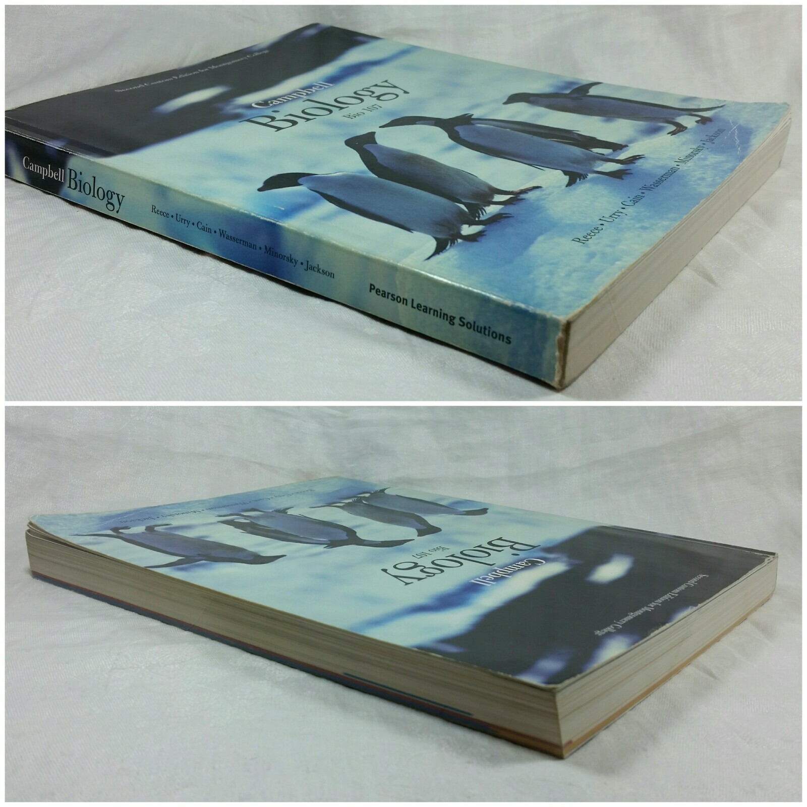 Campbell Biology: Bio 107, 2nd Custom Edition for Montgomery College, PB Book