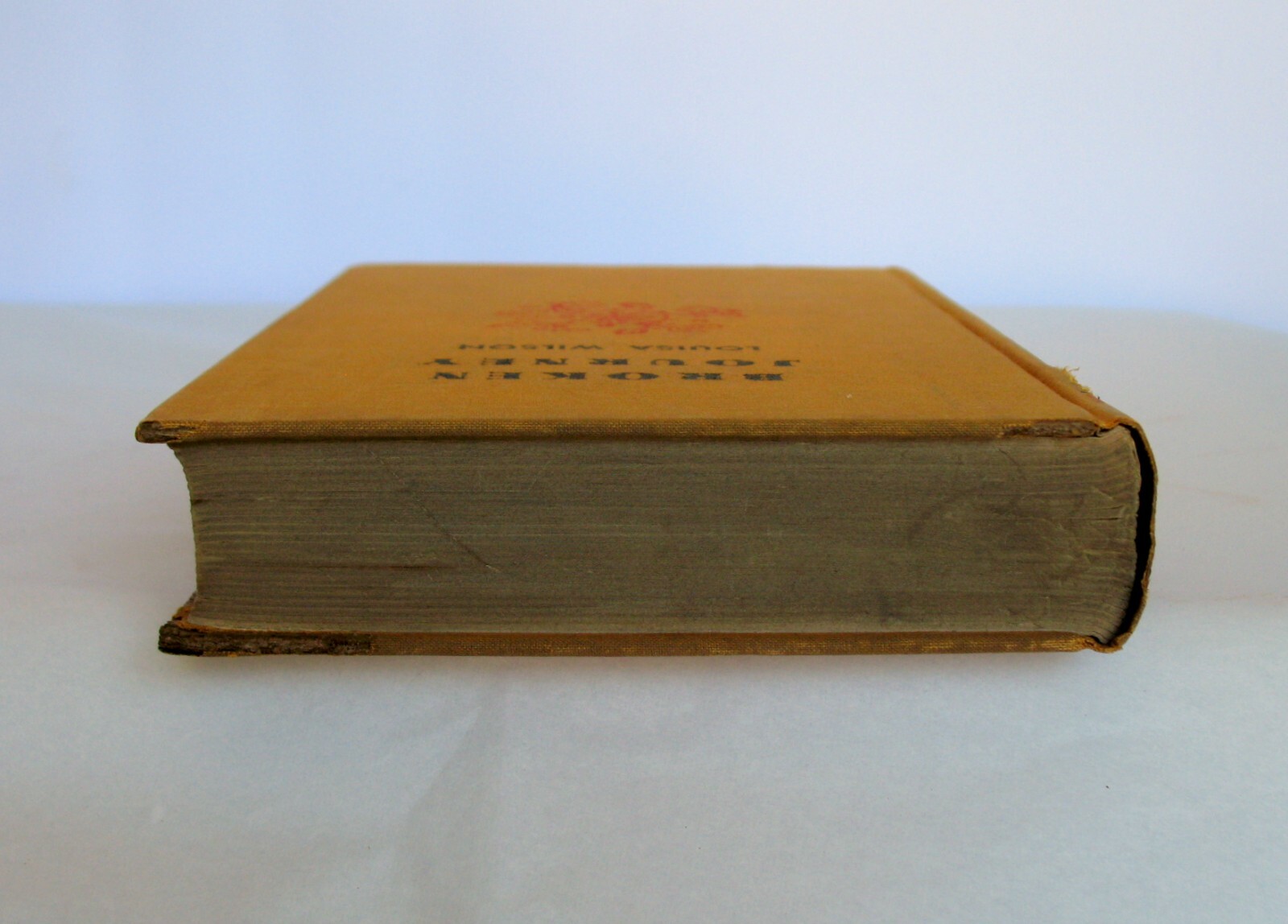 1935 BROKEN JOURNEY by Louisa Wilson ~~ First Edition ~~ 343 Pages