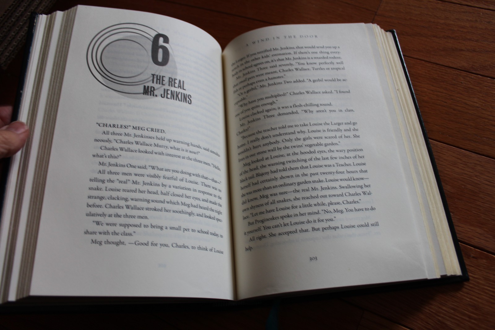 Deluxe Leather trilogy A Wrinkle in Time Madeleine L’Engle Farrar Straus Giroux