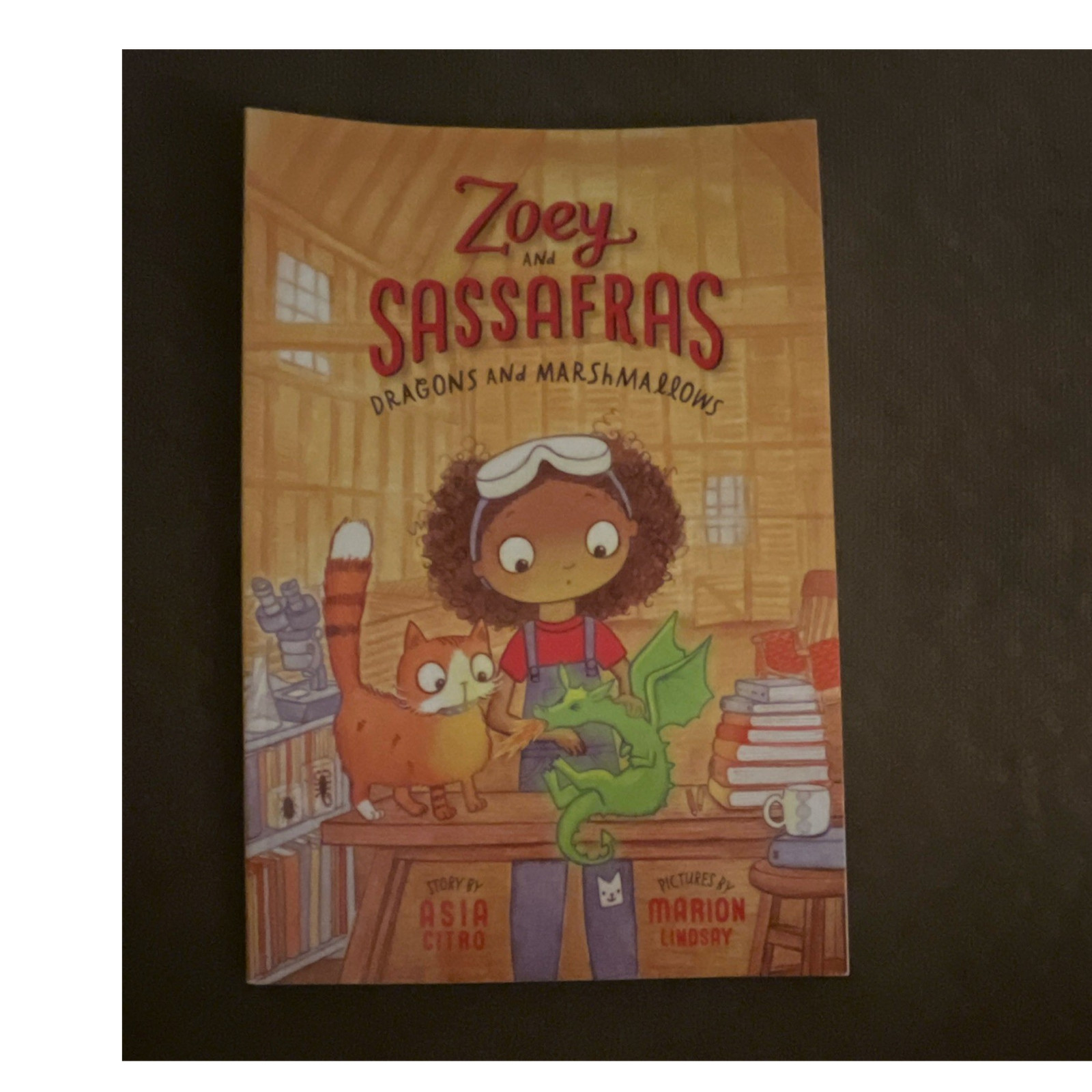 Zoey and Sassafras Dragons and Marshmallows Paperback by Asia Citro, Marion Lin…