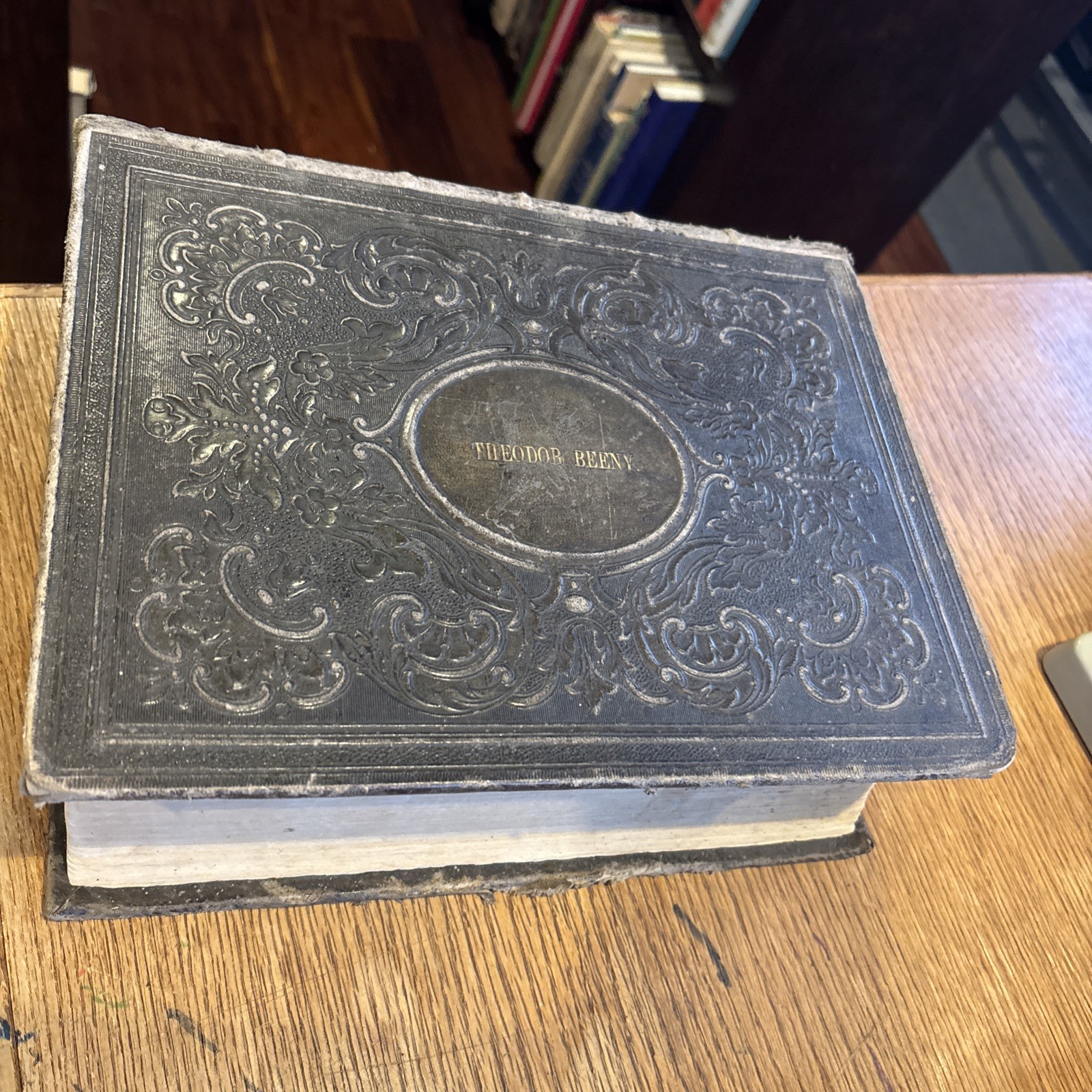 THE ILLUSTRATED DOMESTIC BIBLE Rev. Ingram Cobb in M.A. 1866 THEODORE BEENY FAM.