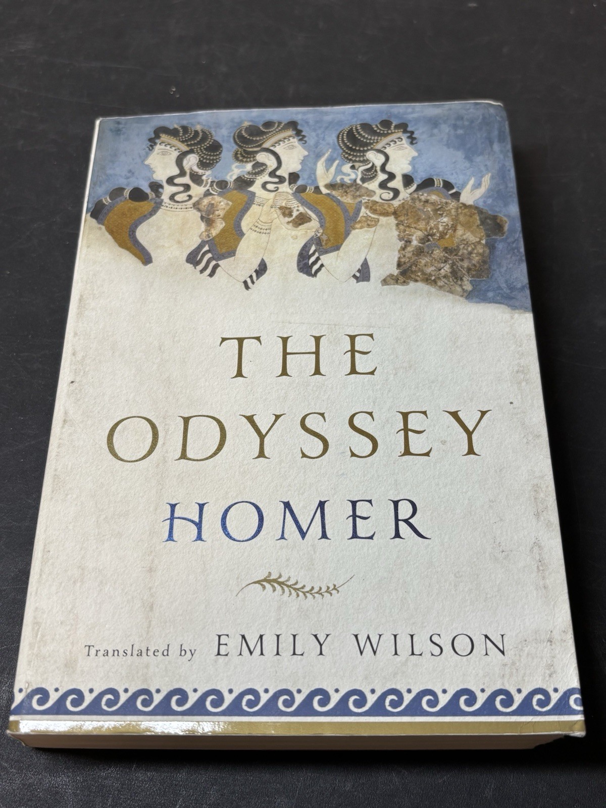 The Odyssey by Homer Translated by Emily Wilson Softcover 1st Edition 2018