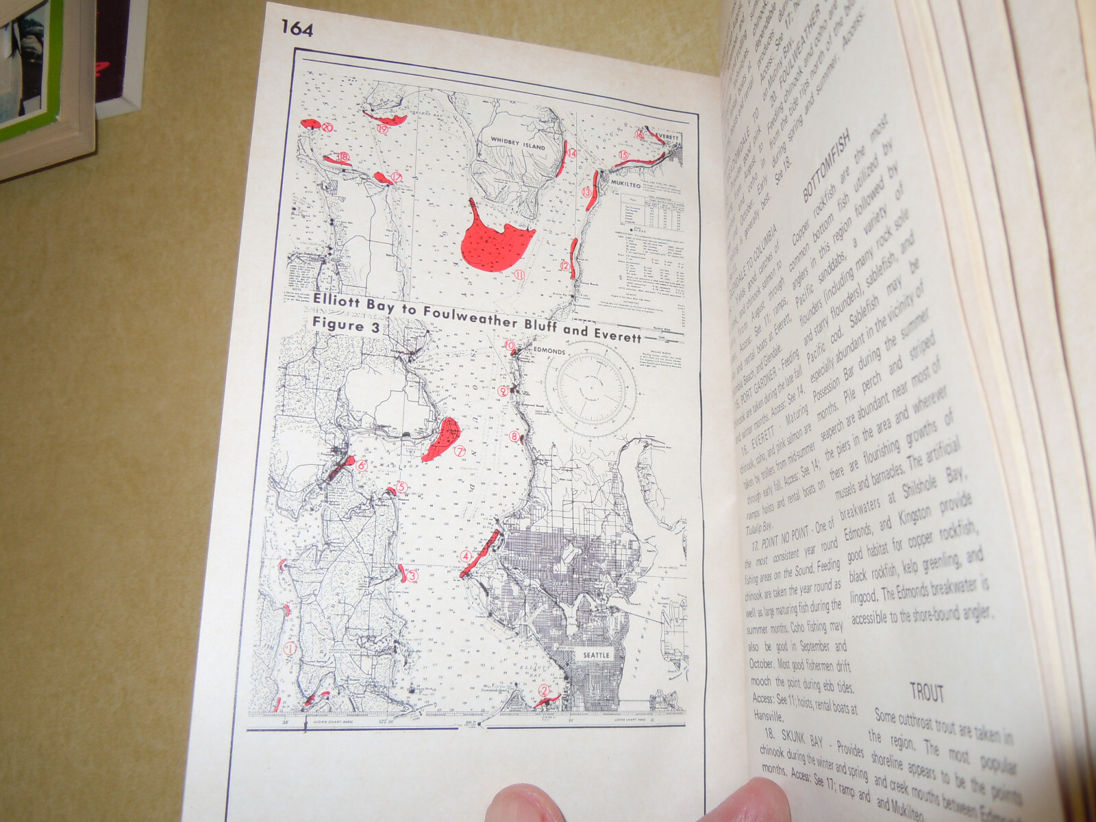 VINTAGE 1973 ” SALTWATER FISHING in WASHINGTON ” PAPERBACK BOOK – 198 PAGES