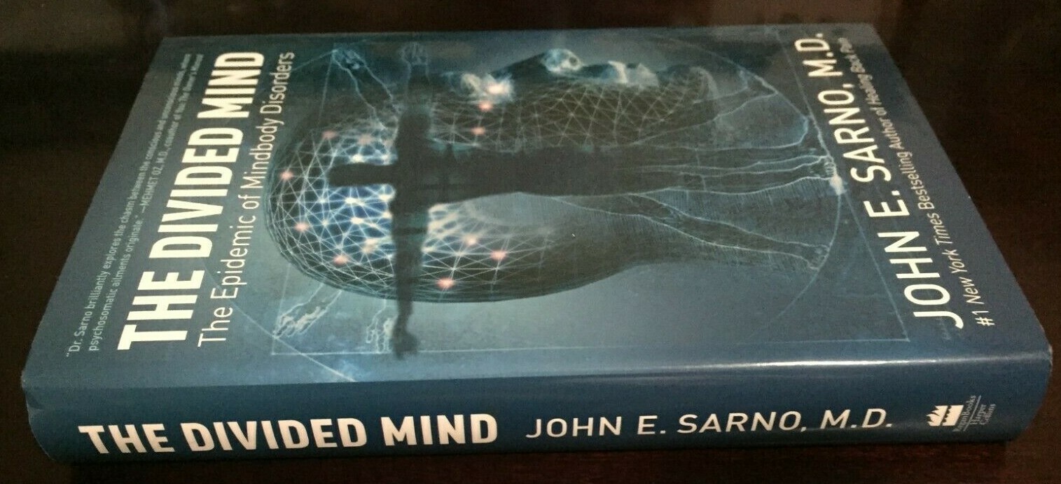 The Divided Mind : The Epidemic of Mindbody Disorders by John E. Sarno (2006, Ha