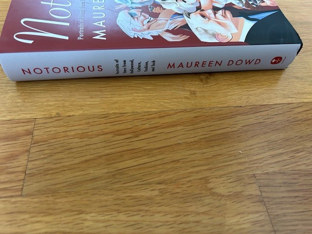 Notorious: Portraits of Stars from Hollywood.. by Maureen Dowd – 1st Ed – UNREAD
