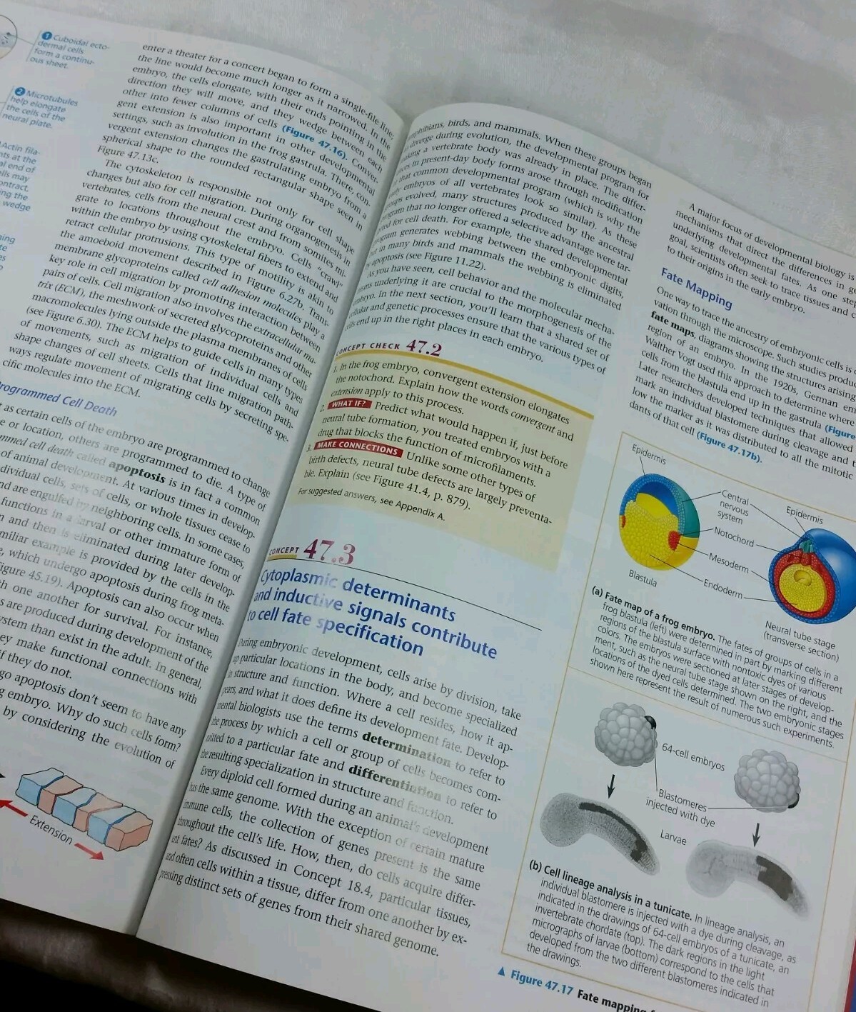 Campbell Biology: Bio 107, 2nd Custom Edition for Montgomery College, PB Book