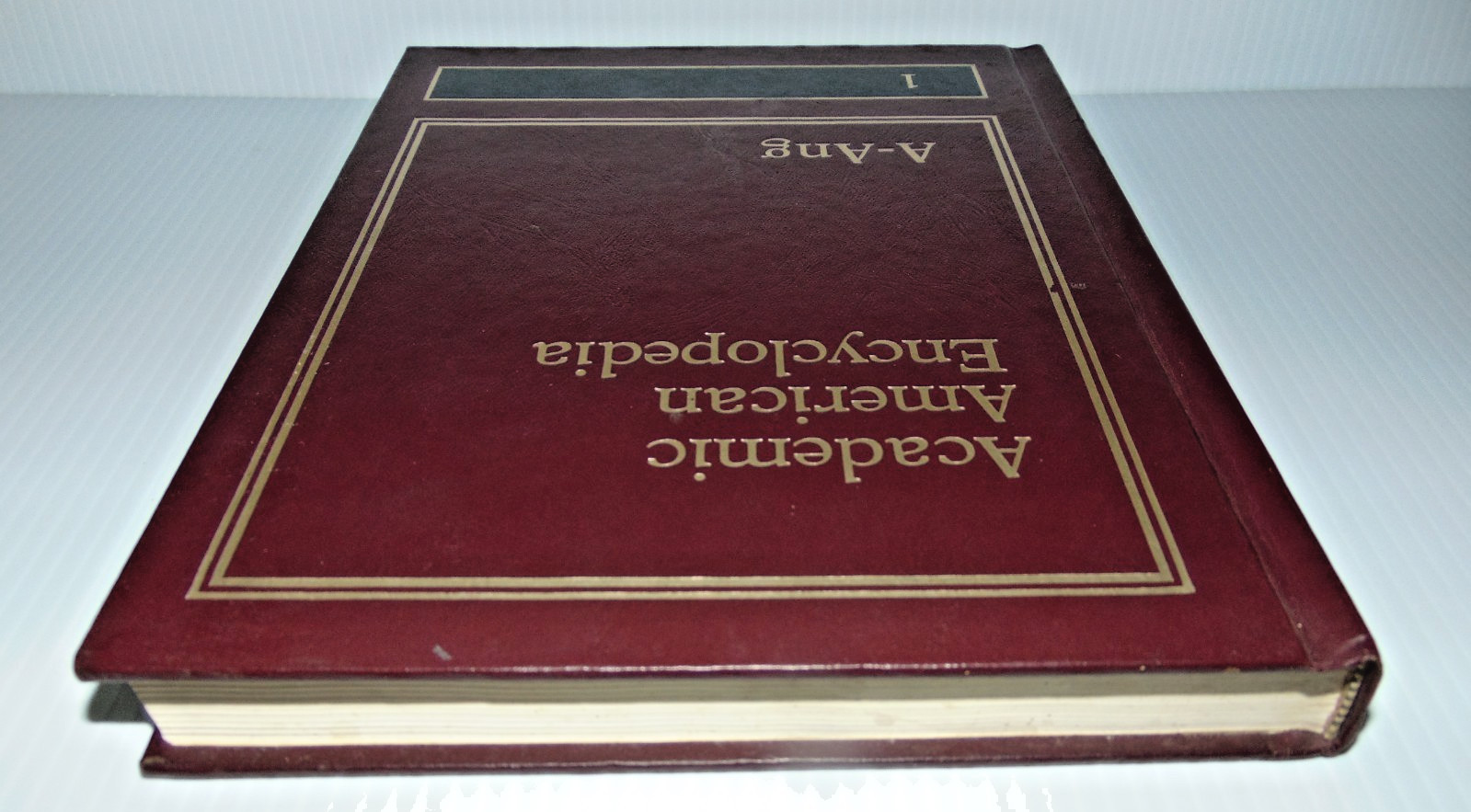 Vintage 1990 -Academic American Encyclopedia Vol 1 (A-Ang) GC