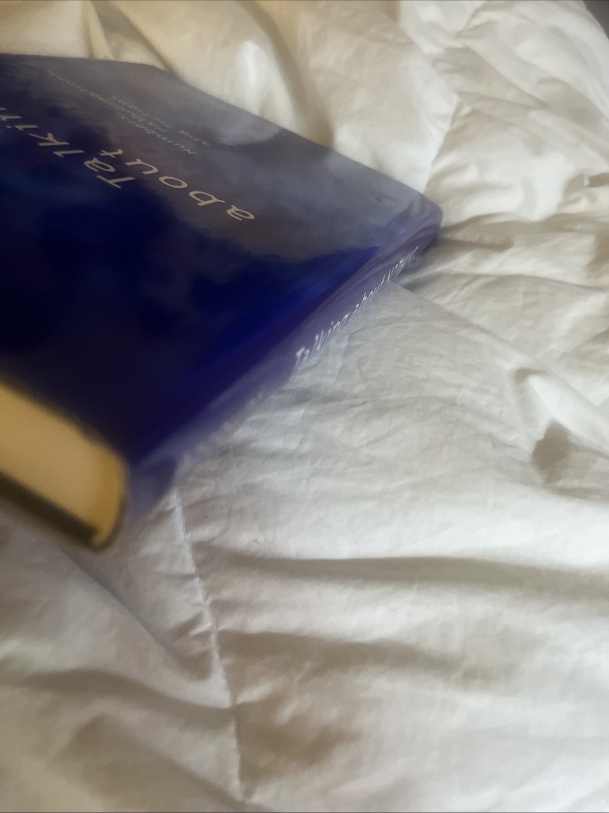 Talking about Nothing : Numbers, Hallucinations, and Fictions Jod