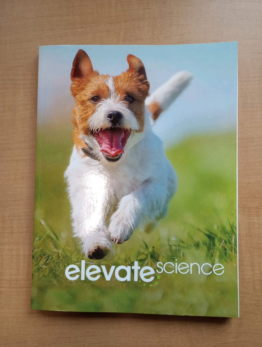 Elevate Science, Savvas learning Company, Grade K, ISBN 0328925098