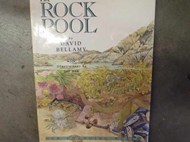 The Rock Pool ( Our Changing World – Hardcover, by David Bellamy – Acceptable j