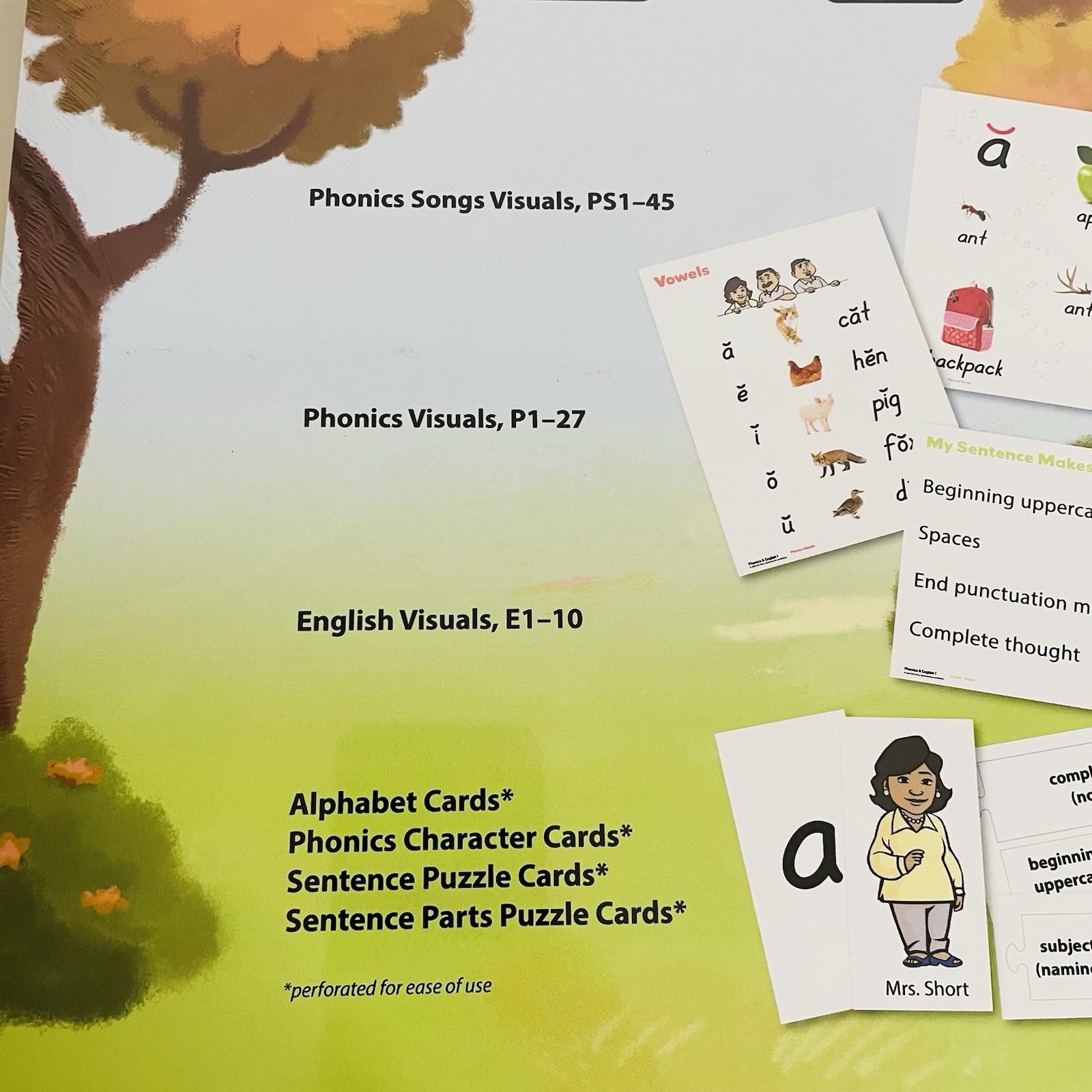 BJU Press Phonics & English 1 Visuals 5th Edition Teaching Aid Cards First Grade