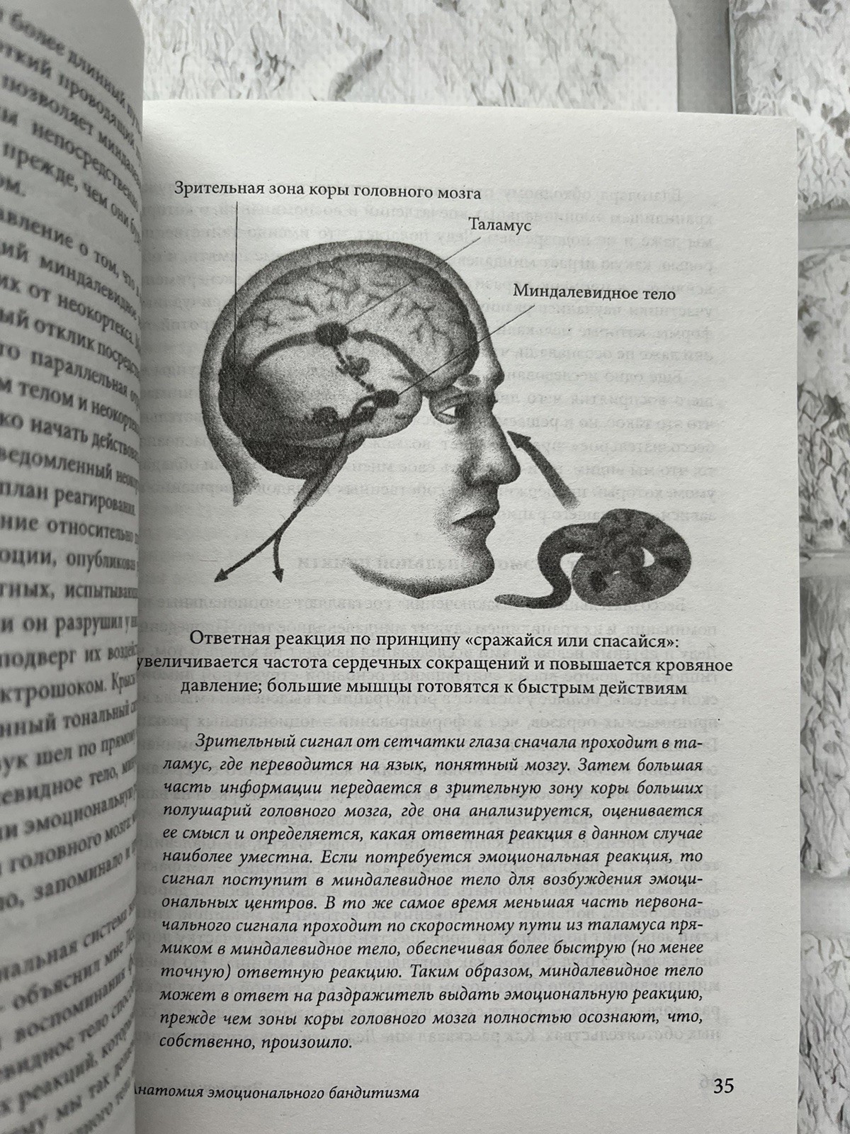 Даниэль Канеман | Думай медленно… решай быстро Russian Book📚 мягкий переплет