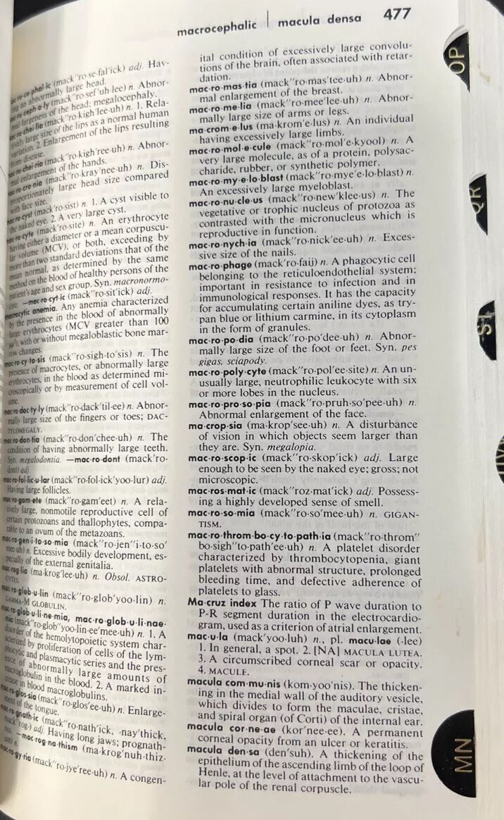 Pocket Medical Dictionary Fourth Edition Blakiston’s