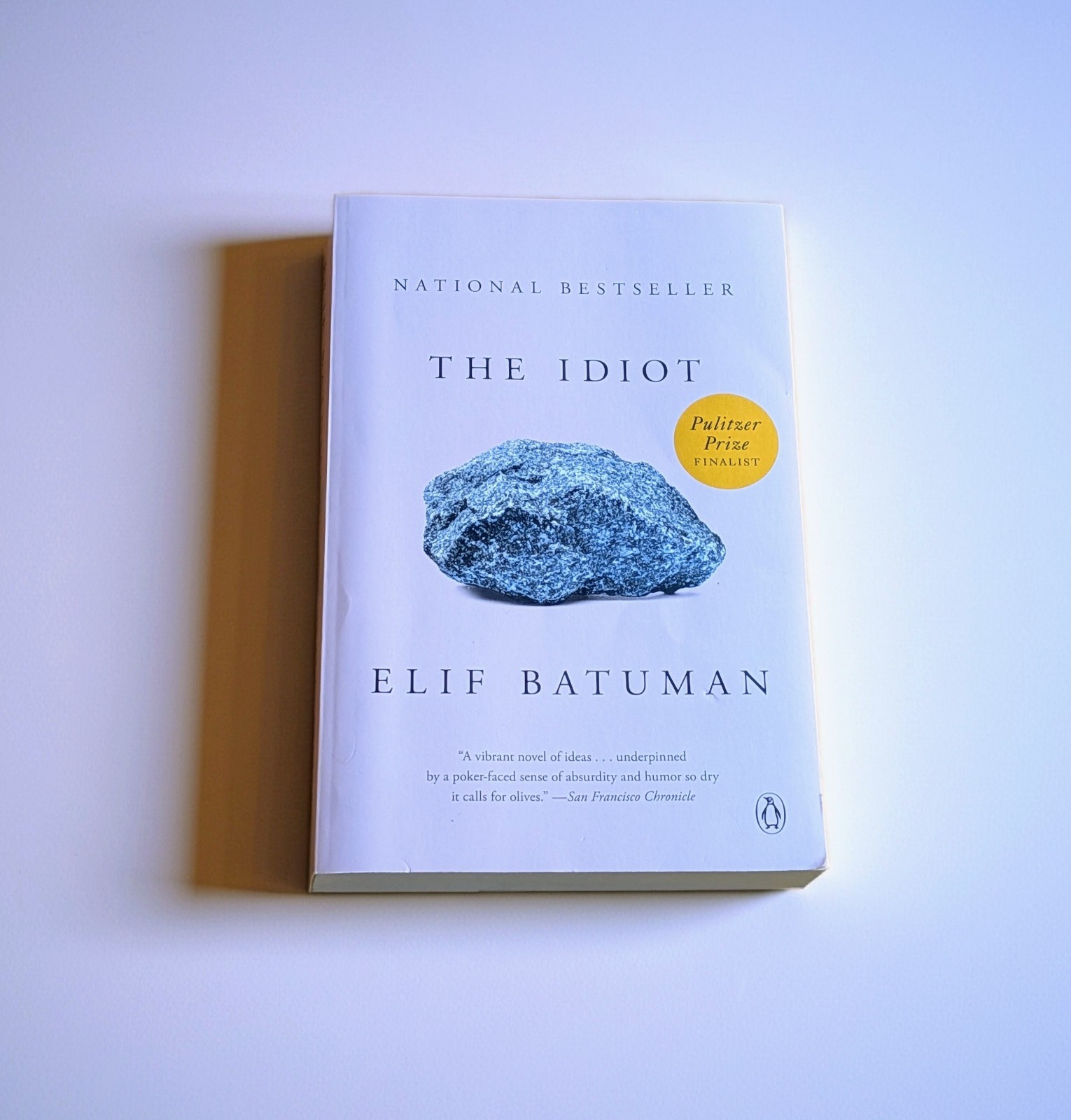 Idiot : A Novel by Elif Batuman (2018, Trade Paperback)