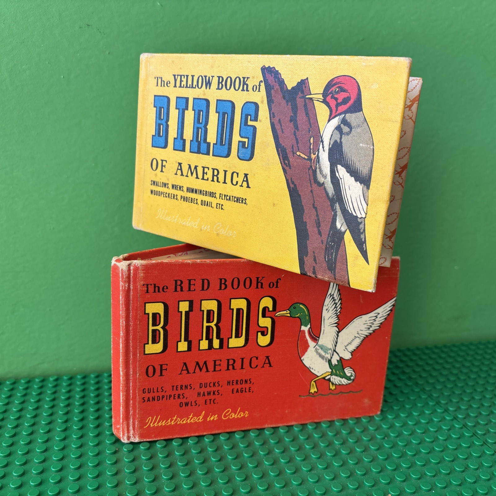 WHITMAN YELLOW BOOK & RED BOOK OF BIRDS OF AMERICA HARDCOVER LOT ASHBROOK MOLLER