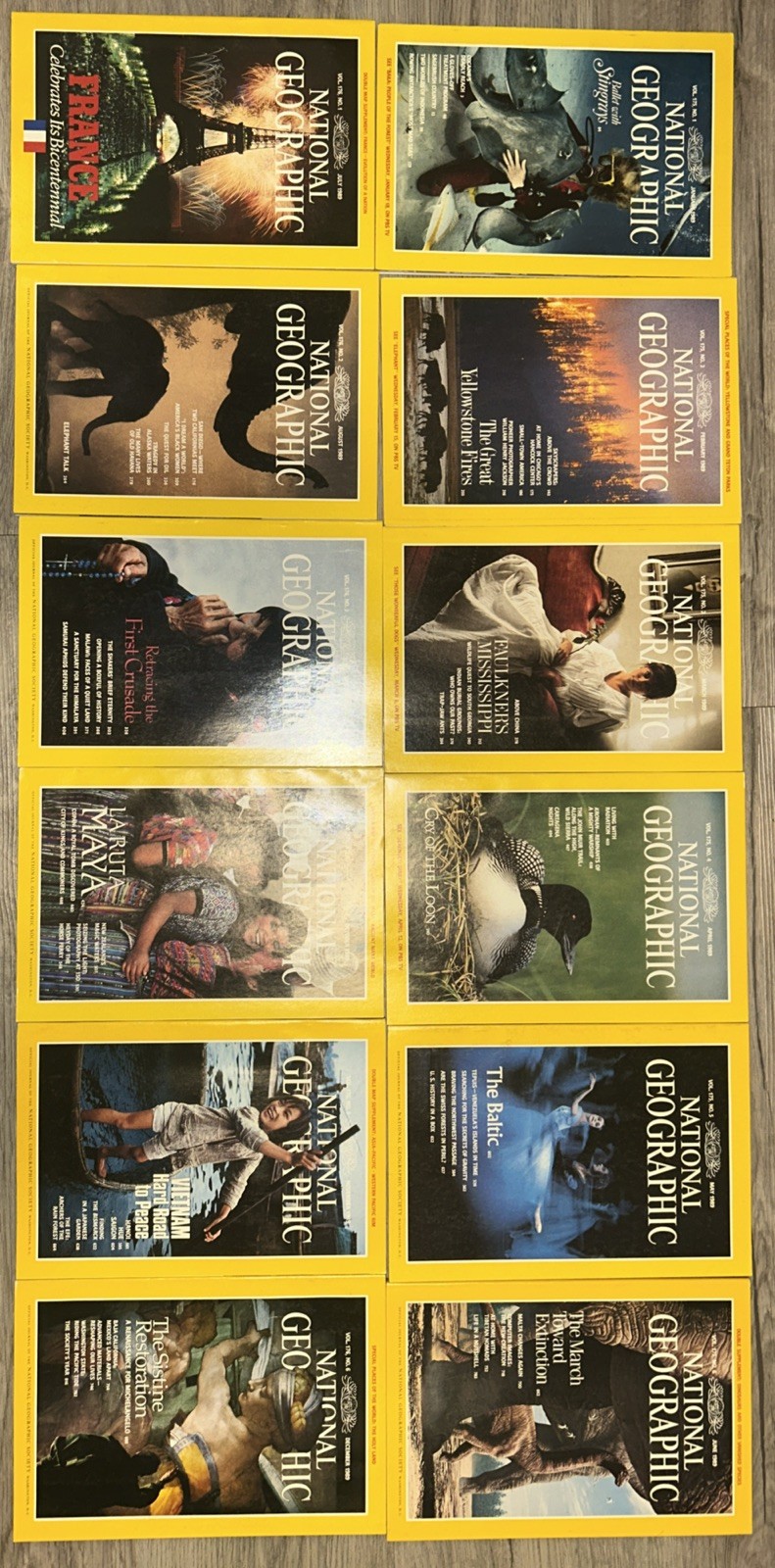 1989 National Geographic Magazine Whole Set/Year